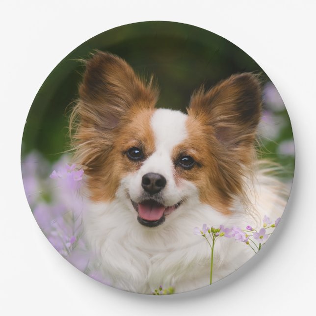 Papillon Dog Cute Romantic Portrait Photo - Paper Plate (Front)