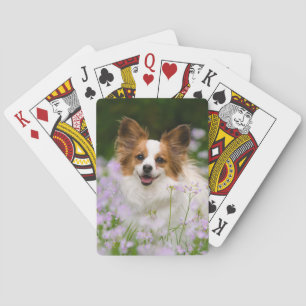 Papillon Dog Cute Romantic Portrait, Playing Cards