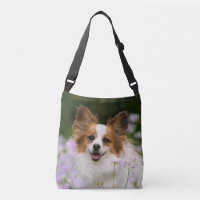 Papillon Dog Cute Romantic Potrait Photo - on