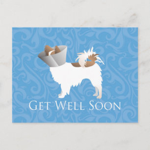 Papillon Dog Get Well Soon Design Postcard