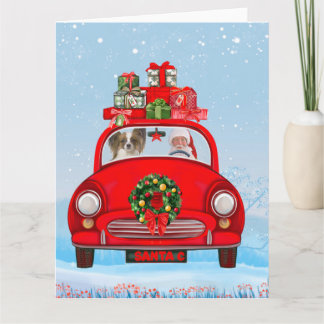 Papillon Dog In Car With Santa Claus Card