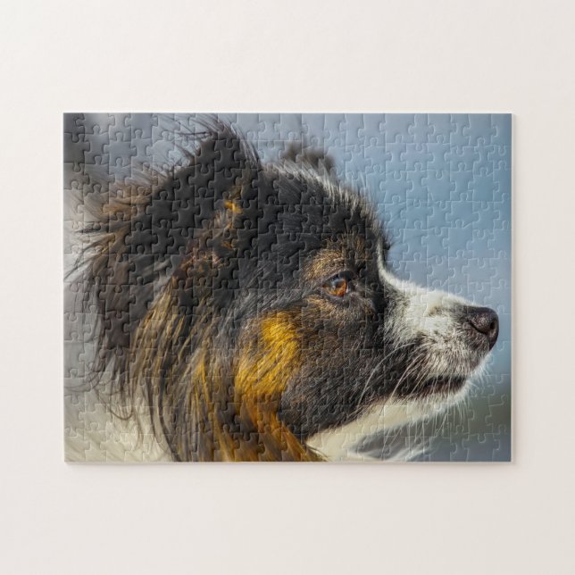 Papillon Dog Jigsaw Puzzle (Horizontal)