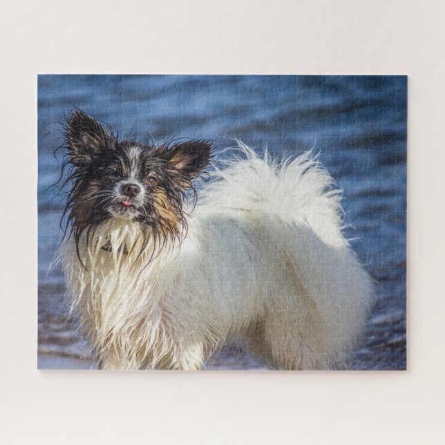 Papillon Dog. Jigsaw Puzzle (Horizontal)