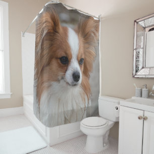 Papillon Dog Portrait Shower Curtain