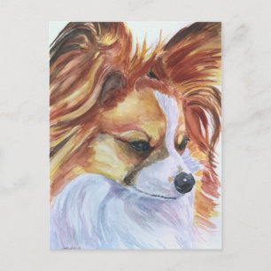 Papillon Dog Postcards