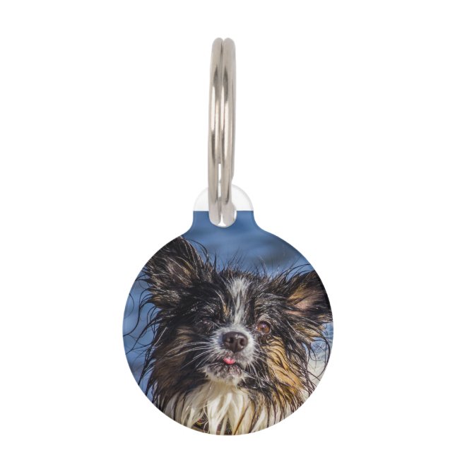Papillon Dog Tags. Pet Tag (Front)