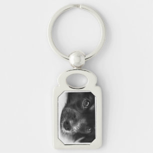 papillon face key ring