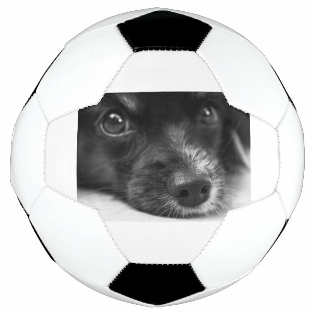 papillon face soccer ball (Front)