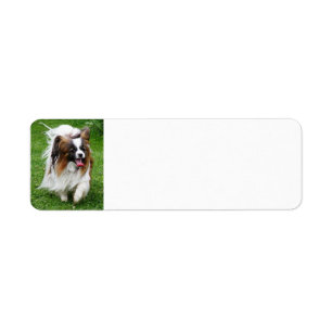 Papillon_in motion return address label