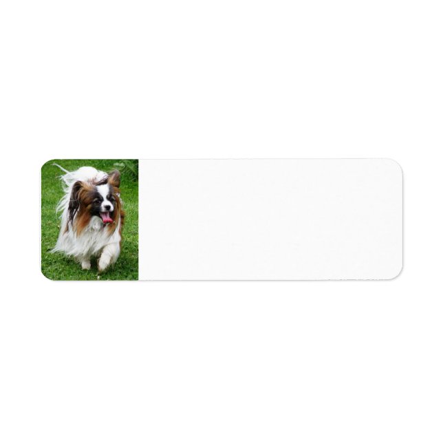 Papillon_in motion return address label (Front)