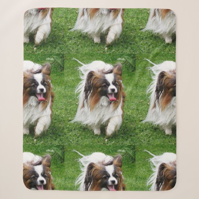 Papillon_in motion sherpa blanket (Front)