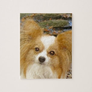 Papillon Jigsaw Puzzle