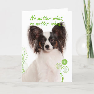 Papillon Love/Support Card