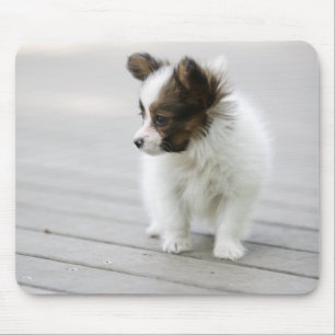 Papillon Mouse Pad