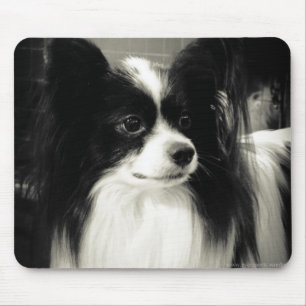 papillon mousepad