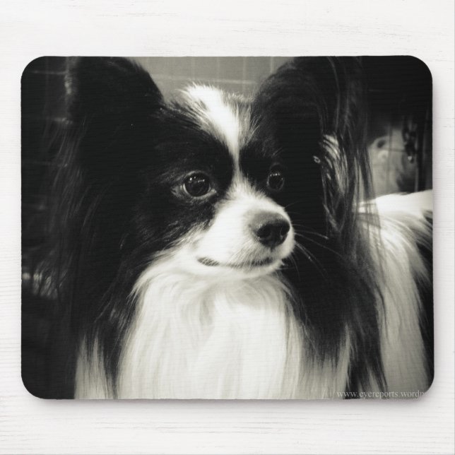 papillon mousepad (Front)