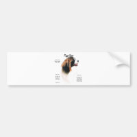 Papillon (Phalene) History Design