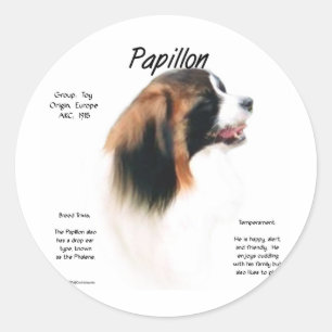 Papillon (Phalene) History Design Classic Round Sticker