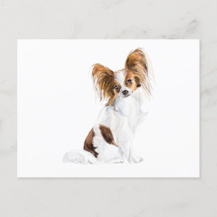 Papillon Portrait Watercolor Postcard