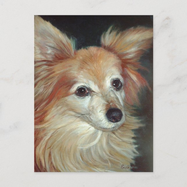 Papillon Postcard (Front)