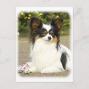 Papillon Postcard