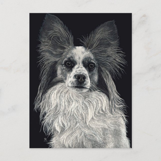 Papillon Postcard - "Sparkles" (Front)