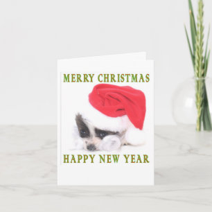 PAPILLON PUPPY CHRISTMAS CARD