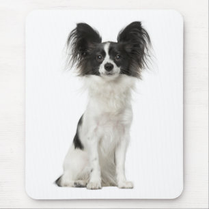 Papillon Puppy Mum Dog Lover Puppies Fur Mama Mouse Pad