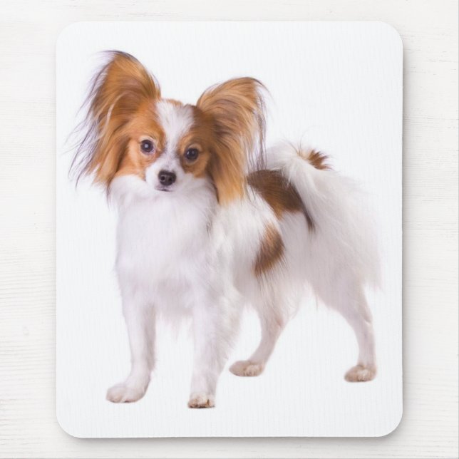 Papillon Puppy Mum Dog Lover  Puppies Fur Mama Mouse Pad (Front)