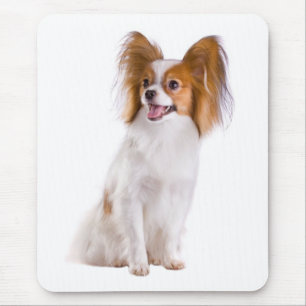 Papillon Puppy Mum Dog Lover Puppies Fur Mama Mouse Pad