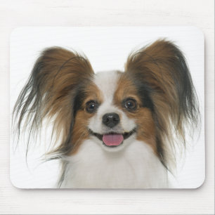 Papillon Puppy Mum Dog Lover Puppies Fur Mama Mouse Pad