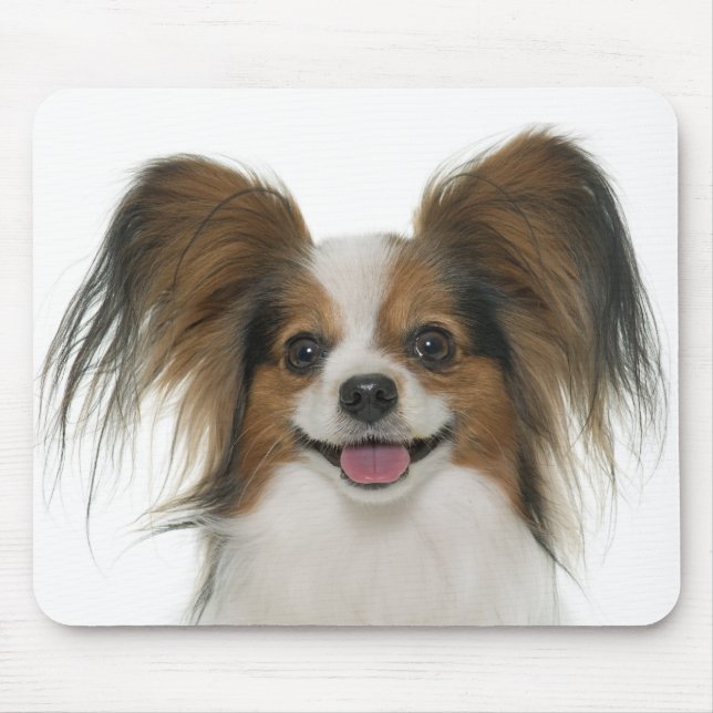 Papillon Puppy Mum Dog Lover  Puppies Fur Mama Mouse Pad (Front)