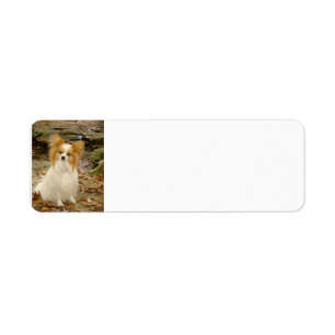 papillon sitting return address label