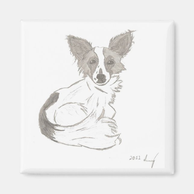 Papillon Sketch Magnet (Front)