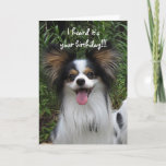 Papillon Sloppy Kisses Birthday Card<br><div class="desc">Happy from Heroshey Kiss! If there's one the Hershey Kiss Hiss knows how to do it's dole out sloppy kisses. Get ready this could get messy!</div>