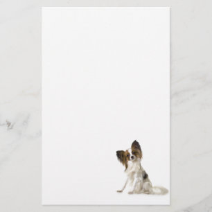 Papillon Stationery