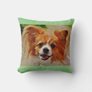 Papillon throw pillow. cushion