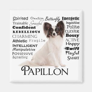 Papillon Traits Magnet