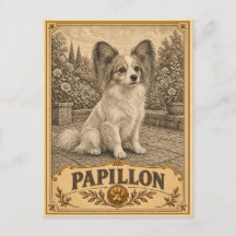 Papillon, Vintage Heritage Dog