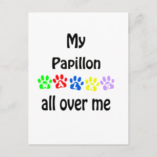 Papillon Walks Design Postcard