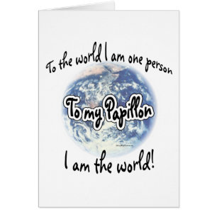 Papillon World 2