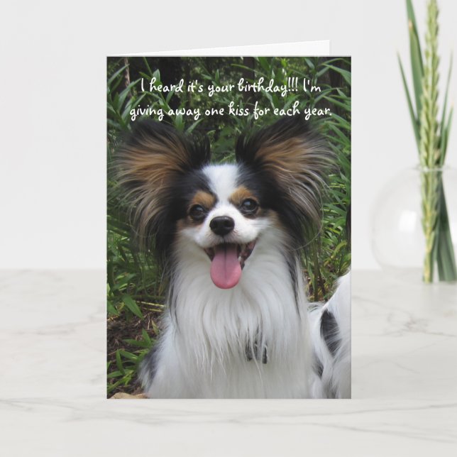 Papillon You're how Old Birthday Card (Front)