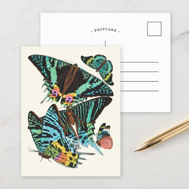 Papillons | Emile-Allain Séguy Postcard (Creator Uploaded)