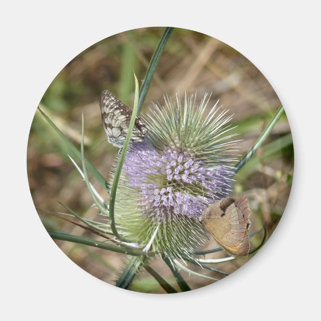 Papillons Magnet (Front)