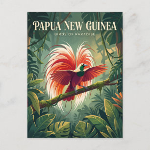 Papua New Guinea Rainforest Papua New Guinea Postcard