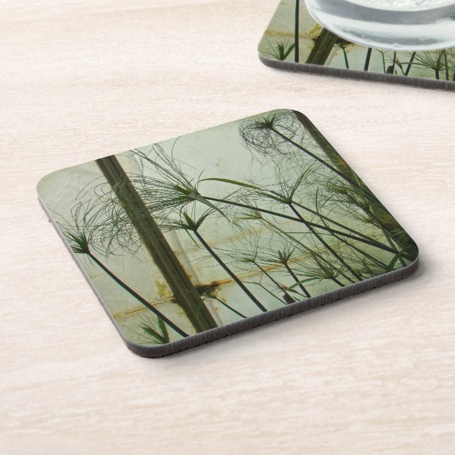 Papyrus Coaster (Left Side)