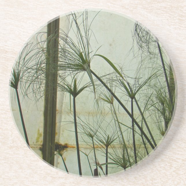 Papyrus Coaster (Front)