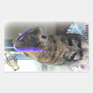 PAR Caesar Sticker