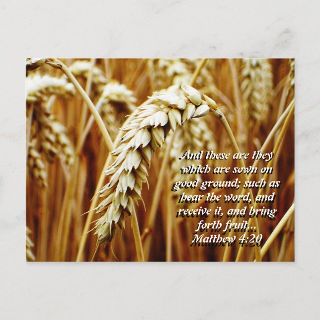 Parable of the Sower Postcard (Front)