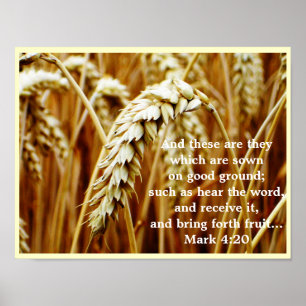 Parable of the Sower Poster